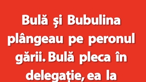 BANC | Bulă și Bubulina plângeau pe peronul gării