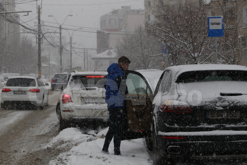 S-a intors după o accidentare groaznică! Unde l-am pozat pe „Briliantul” Stelei înainte de reunire