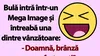 BANC | Bulă și brânza roquefort din Mega Image