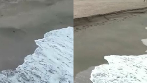 'Cliffing', noul fenomen de la Marea Neagră. Ce pericol a apărut pe plajele din Mamaia