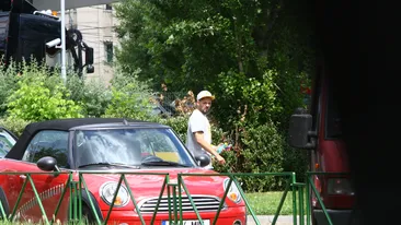 Pazea, pericol de plictiseala! Ombladon si-a scos amicii la o cafea, dar a cascat si s-a uitat in gol toata ieseala