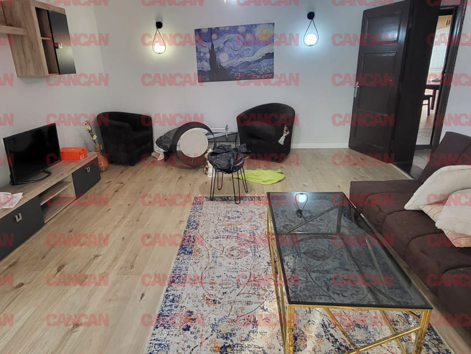 Apartamentul dat în chirie Calinei Roman și iubitului ei a fost distrus