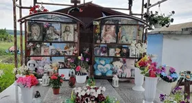 Galerie foto - poza 3