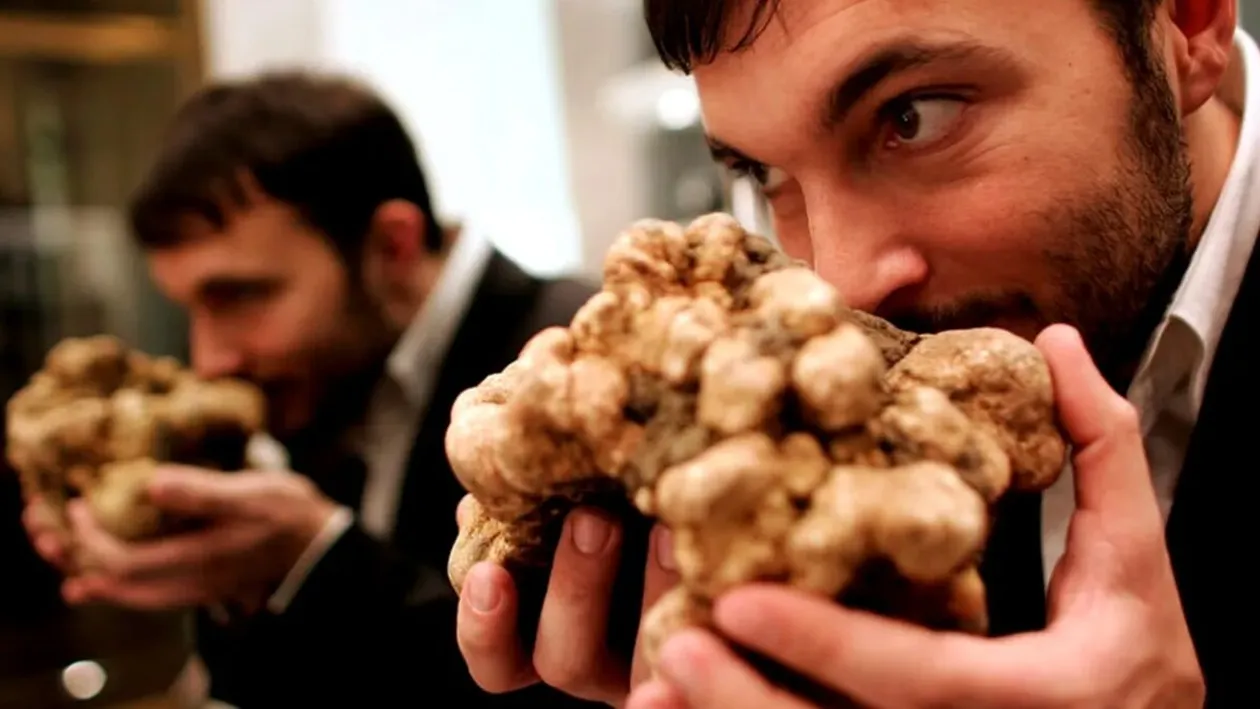 Condimentul care a ajuns să se vândă cu 2500 de euro pe kilogram. Prețul continuă să crească