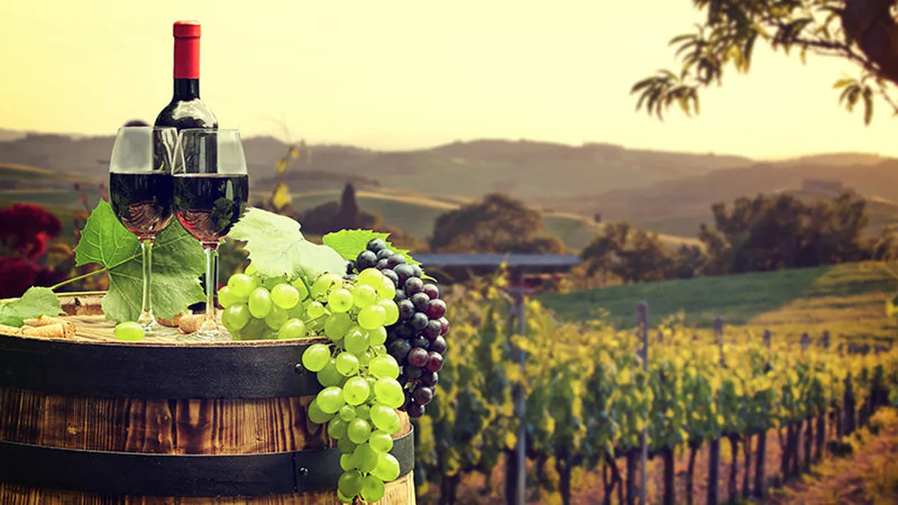 Ideea inedită a viticultorilor italieni ajunși în pragul falimentului din cauza crizei provocată de coronavirus! Vin transformat în gel dezinfectant