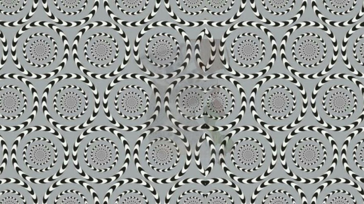 Test de inteligență | Ești un mega-geniu dacă poți numi animalul ascuns în această iluzie optică, în maximum 25 de secunde