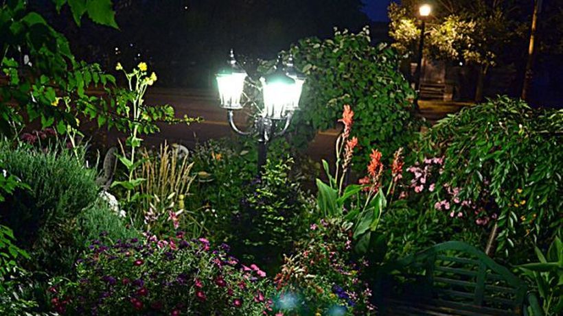 Florile care se deschid noaptea! Aşa au apărut ”grădinile lunii”