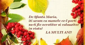 Galerie foto - poza 2