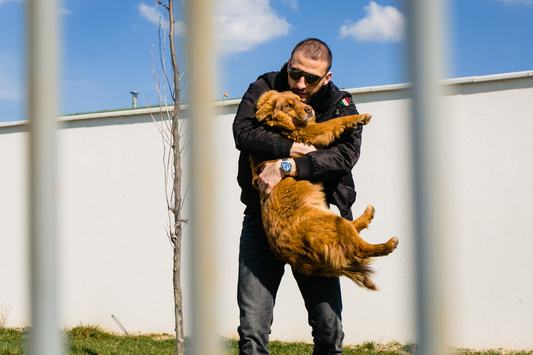 Replica lui Ștefan Mandachi, după ce și-a parcat bolidul de lux neregulamentar: ”Că nu sunt ADEPT al respectării regulilor, nu e o noutate”