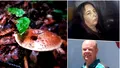 I se spune otrăvitoarea cu ciuperci. Cum a încercat o femeie să își omoare fostul soț, dar și socrii luni de zile