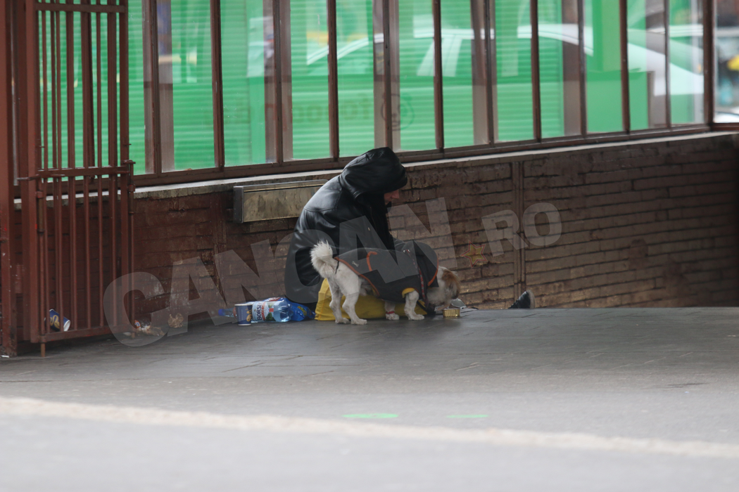 ”Din banii aceştia, plătesc…” Cerşetoarea de la metrou a recunoscut cât câştigă în fiecare zi
