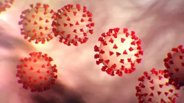 Coronavirus în România. Numărul persoanelor infectate crește de la o oră la alta. Ultimul bilanț - 121 de cazuri confirmate