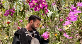 Galerie foto - poza 1