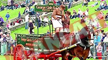 Un cal de o tona a atacat spectatorii