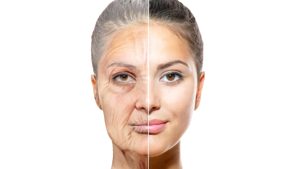 „Fântâna Tinereții”, descoperită de cercetători. Cele două medicamente care țin bătrânețea la distanță