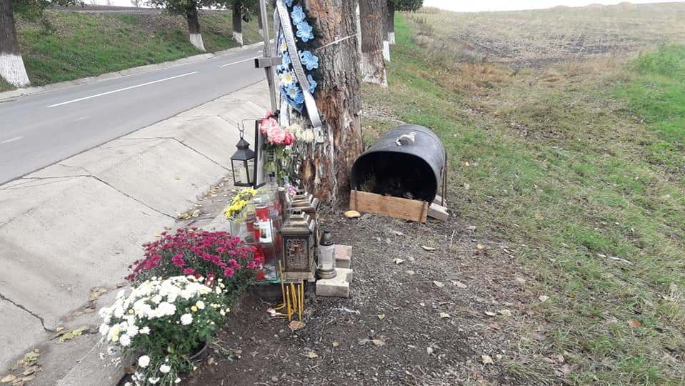 Emoționant! Ce a făcut câinele unui tânăr de 21 de ani din Iaşi, după ce stăpânul lui a murit într-un accident rutier