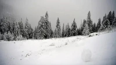 24 de ore de Cod roșu în Carpații Meridionali și de Curbură. Rafale de 120 km / h