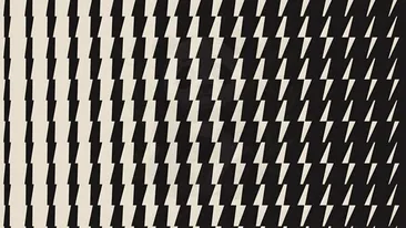 Iluzie optică | Doar un geniu poate identifica animalul ascuns în această poză