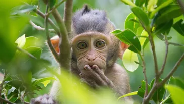 Bancul zilei | Cum naiba ați ajuns să faceți amor în poziția asta?