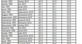 Galerie foto - poza 4