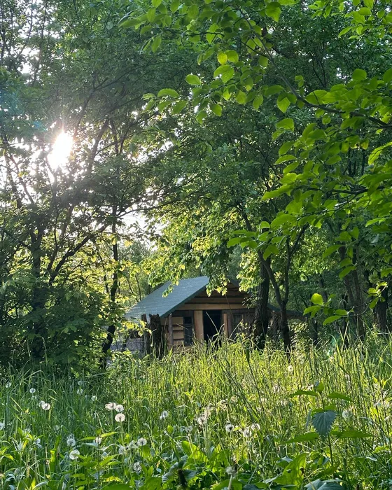 Cum arată casa în care locuiește Mihaela Bilic, din inima pădurii: “Nu am curent electric, nici apă”