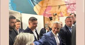 Galerie foto - poza 3