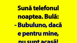 BANC | Sună telefonul noaptea. Bulă: "Bubulino, dacă e pentru mine, nu sunt acasă"