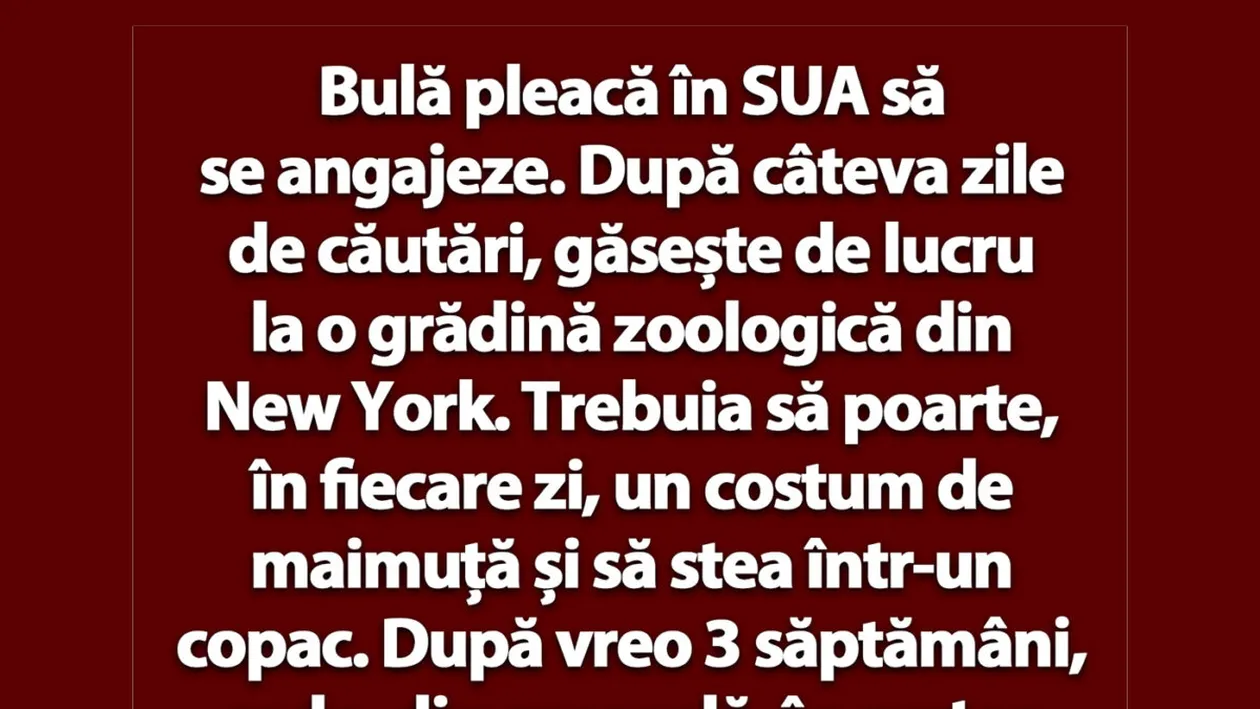 BANC | Bulă pleacă în SUA să se angajeze