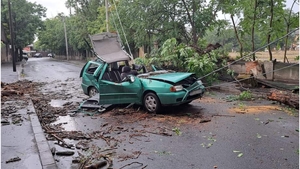 Furtuna a făcut ravagii în București. O persoană a ajuns la spital, după ce un copac a strivit un autoturism