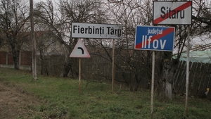 Firicel, Bobita si Celentano s-au mobilizat la vot. Vezi aici ce au facut satenii din “Las Fierbinti”