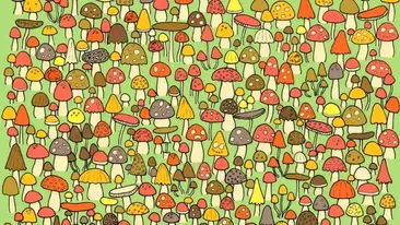 Test de perspicacitate | Numai geniile găsesc șoricelul care se ascunde în poză, în 28 de secunde