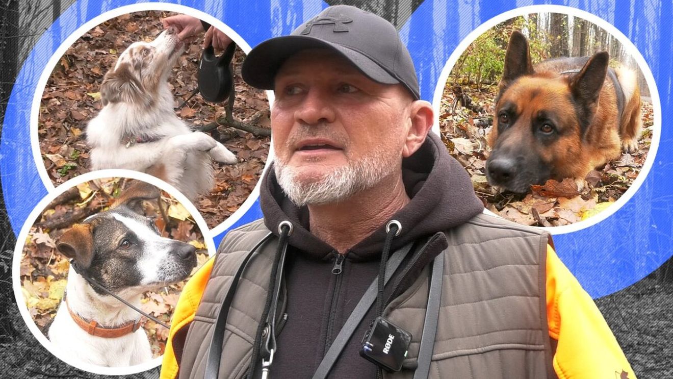 Cei mai simpatici căței, față-n față cu dresori de top: "Am educat și câinii vedetelor" | EXCLUSIV