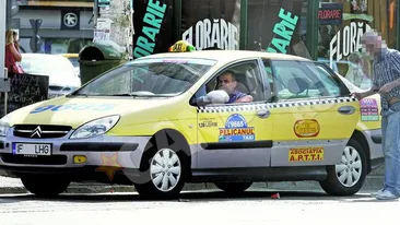 Pelicanul terorizeaza taximetristii bucuresteni