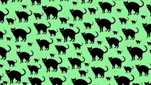 Test de inteligență | Găsiți șoricelul ascuns printre pisicile din imagine!