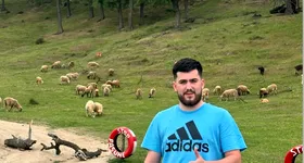 Galerie foto - poza 2