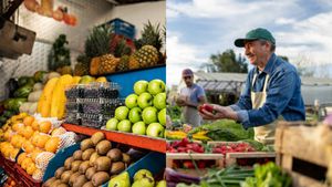 Fructul românesc benefic pentru sănătate costă doar 12 lei pentru o caserolă de 500 de grame
