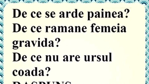 BANCUL ZILEI | De ce se arde pâinea?