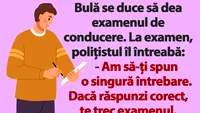 BANC | Bulă se duce să dea examenul de conducere. La examen, polițistul îl întreabă