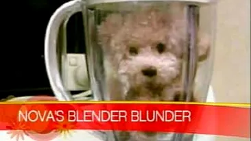 Au bagat catelul in blender?