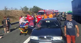 Galerie foto - poza 1