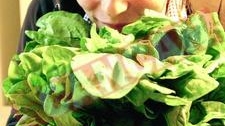 Fructe si legume care trebuie consumate zilnic