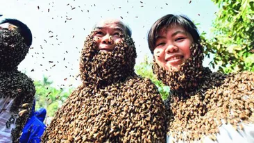 S-au lasat acoperiti de mii de albine