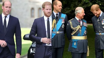 Ce s-a întâmplat în camera de hotel în care prințul Harry i-a dat întâlnire fratelui său William, după anunțul devastator al Casei Regale britanice