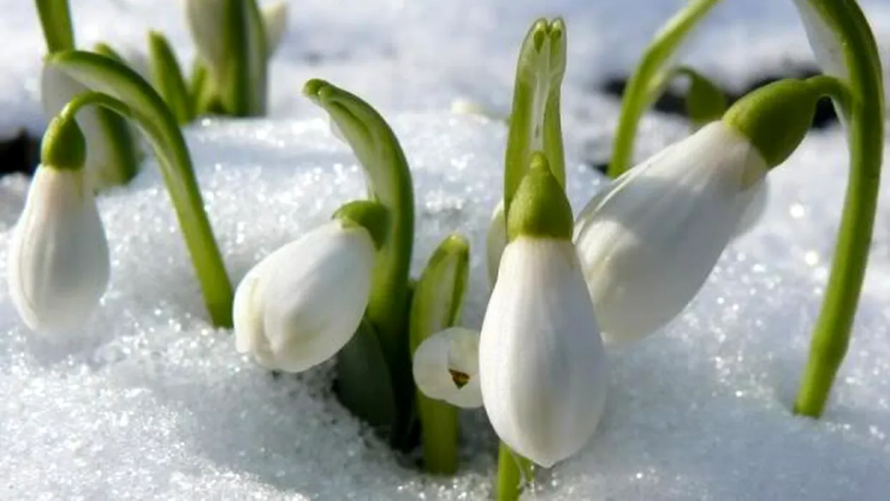 Prognoza meteo pentru saptamana 25 februarie - 3 martie. Vremea se schimba radical in Romania