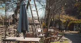 Galerie foto - poza 4