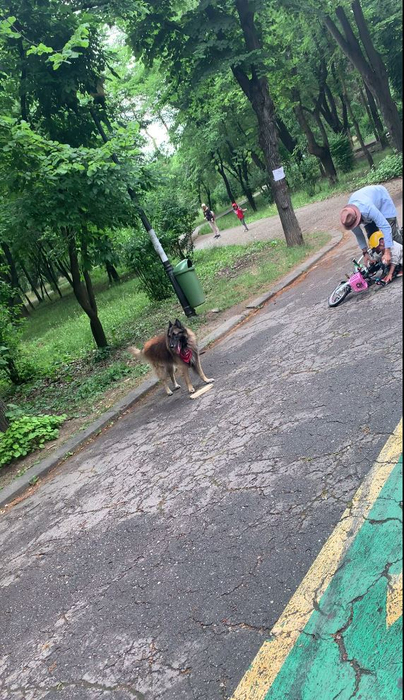 Chef Foa își ajută băiețelul să se ridice, după ce a căzut cu bicicleta (Foto: CANCAN.RO)