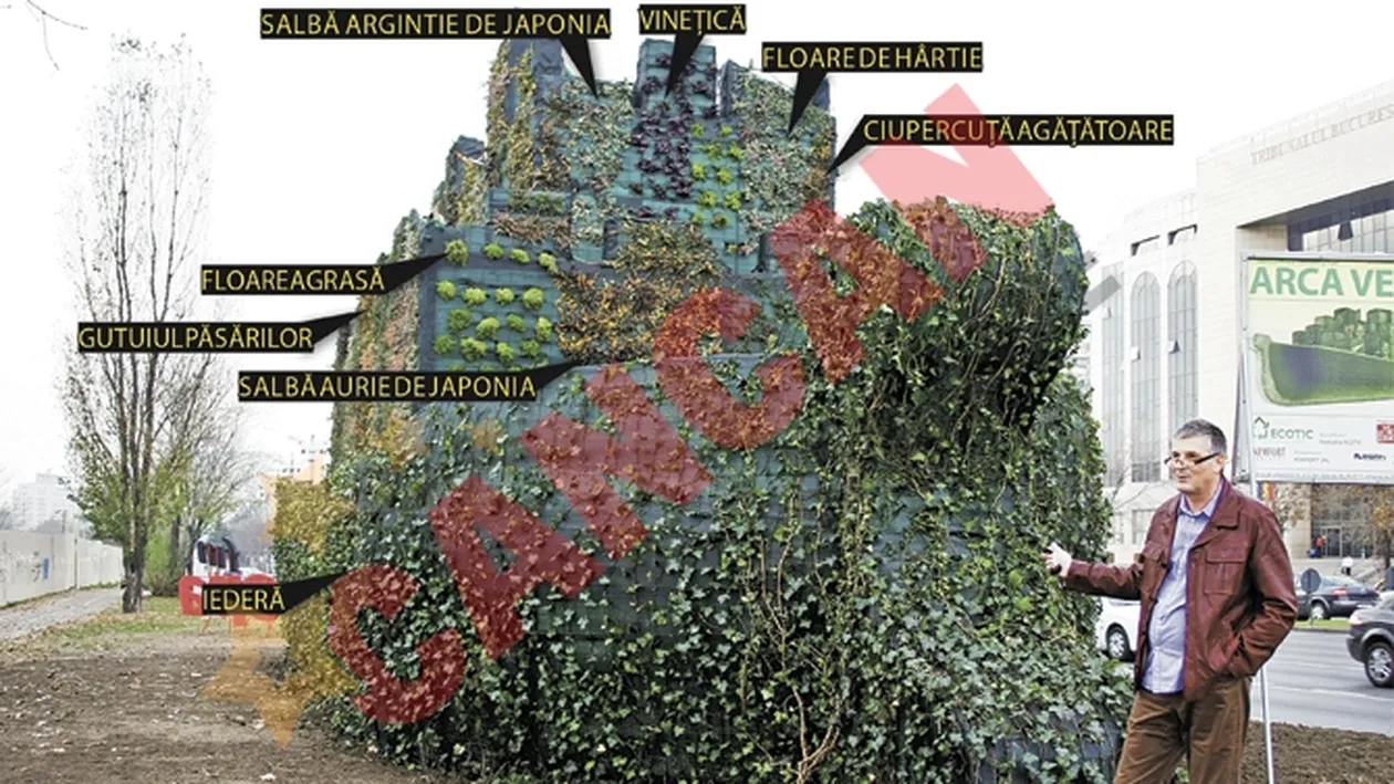Iata prima gradina verticala din Romania