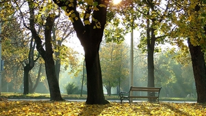 Vremea ne rasfata cu un weekend insorit. Vezi cum vor evolua totusi temperaturile si daca va ploua in urmatoarea perioada