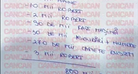 Galerie foto - poza 4