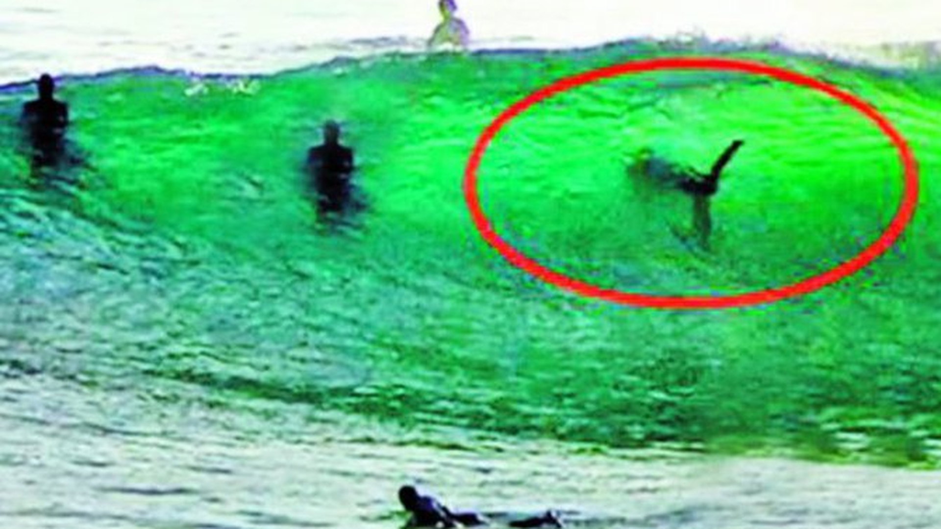 Au facut surf langa un rechin urias